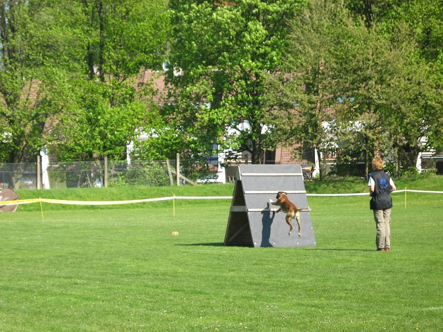 www.atibox.net * www.euroboxer.eu * www.boxergenealogia.eu